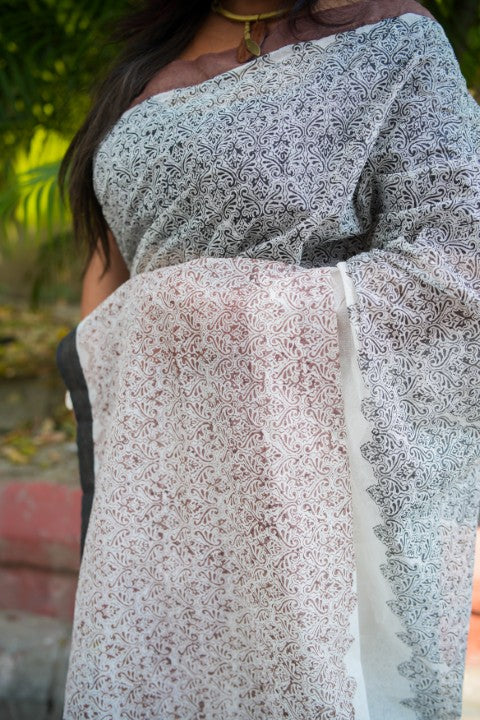 Off White Brown with Border Audy Saree